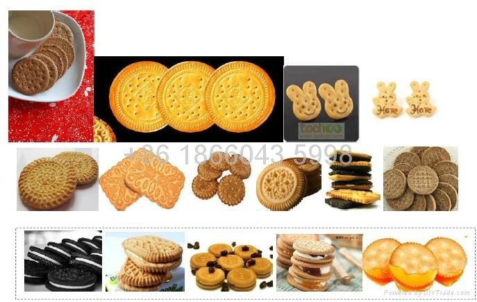 automatic biscuit making machine 4