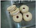 automatic biscuit making machine 5