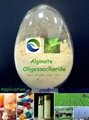 Novel Natural Ingredient-Alginate Oligosaccharide