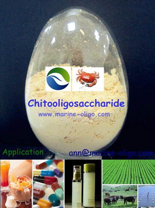 Chitosan Oligosaccharide