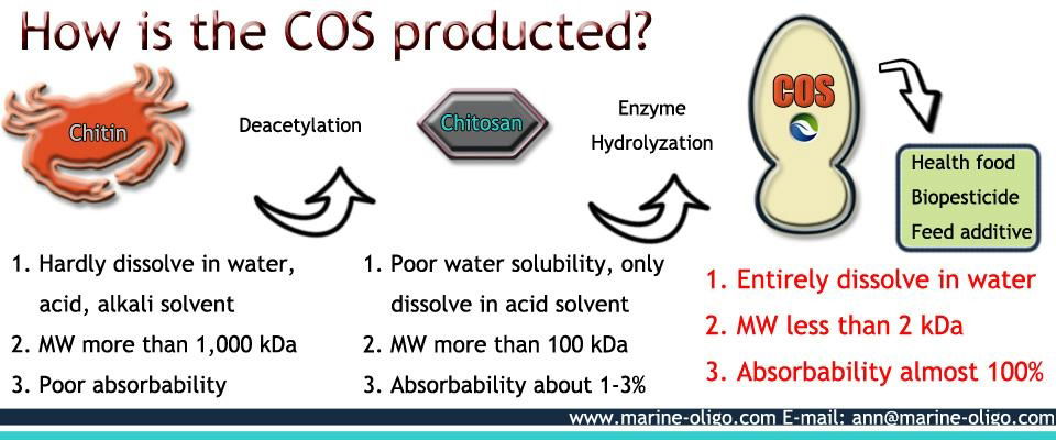 Chitosan Oligosaccharide 2