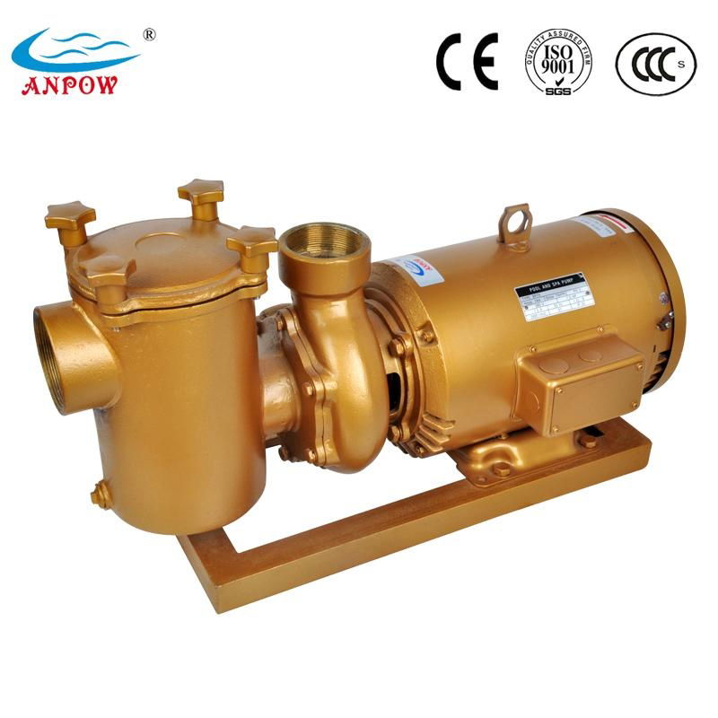 High Flow Rate Bronze Electirc Water Pumps 4