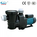 High-Performance Swimming Pool Pumps