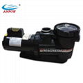 Swimming Pool Filter Water Pump 1