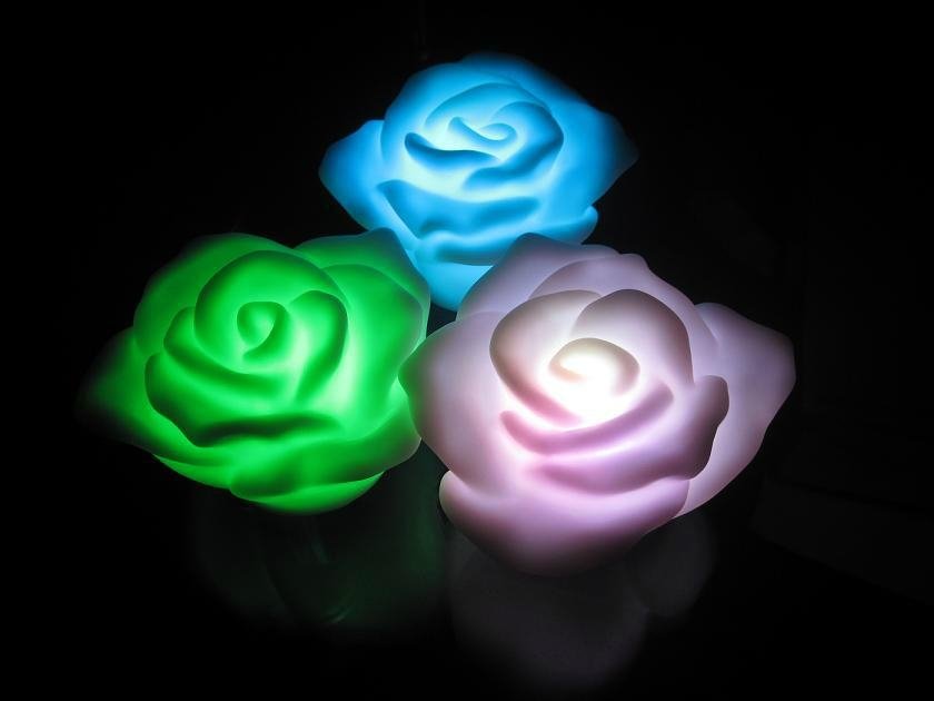LED玫瑰小夜灯 3