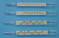 Various glass Clinical Thermometer