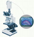 XSZ--N107CCD biological microscope