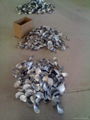 Stainless steel pipe fittings 4