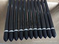 carbon fiber shafts with tips