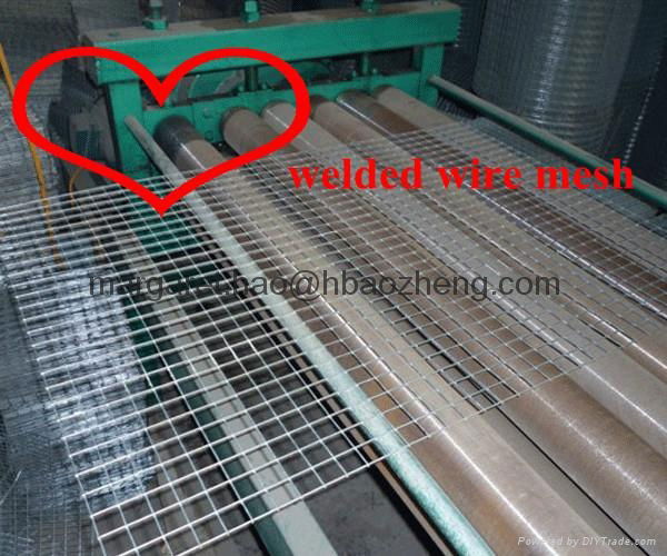 welded wire mesh