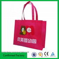 Promotion PP Non-woven Bag 4