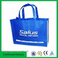 Promotion PP Non-woven Bag 5