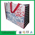 Custom pp non woven eco bag