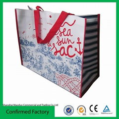 Custom pp non woven eco bag