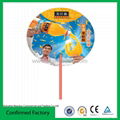 Promotional Plastic PP Hand Fans 4