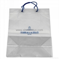 Custom HDPE/LDPE printed plastic bags 3