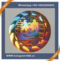 High resolution security hologram sticker  3