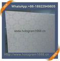 Security watermark paper  printing 