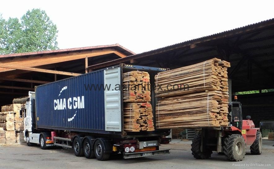 European Beech lumber