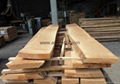 European Beech lumber 3