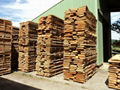 European Beech lumber 5