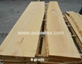 Beech unedged lumber 2