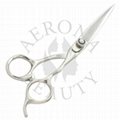Hair Cutting Shears-Barber Scissors 1