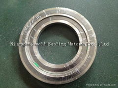 CGI  Spiral Wound Gasket