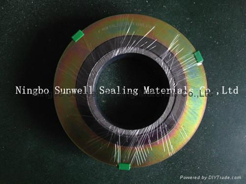 CGI  Spiral Wound Gasket 2