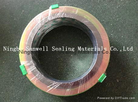 CGI  Spiral Wound Gasket 3