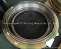 SPIRAL WOUND GASKET WITH ASME B16.20