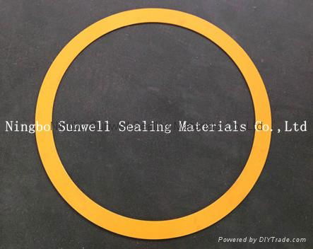 SPIRAL WOUND GASKET WITH ASME B16.20 3