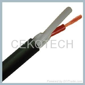 SPEAKER CABLE 2