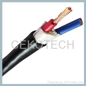 SPEAKER CABLE 3