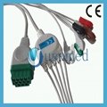 GE-Marquette  dash pro2000 5 lead ecg cable with leadwires 2