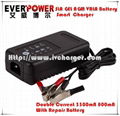 Everpower Sealed Lead Acid 12V battery