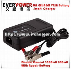 Everpower Sealed Lead Acid 12V battery charger price on sale 