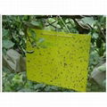 Thrips Whitefly Glue Paper Stick Insect Yellow BLUE Board/sticky Paper