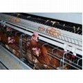 Chicken Cage Hencoop Poultry Chicken Cage ,Galvanization Wire Chicken Cage 