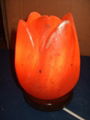 Carved himalyan Rock Salt Flower Lamp 1