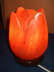 Carved himalyan Rock Salt Flower Lamp