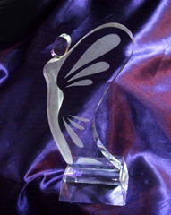 蝴蝶形水晶獎牌,定製水晶獎牌,Tailor-made crystal trophy