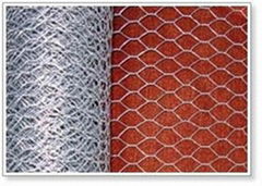 Stainless steel hexagonal wire netting