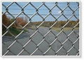 Chain Link Fence