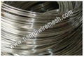 Stainless steel wire 1