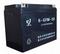 6GFM-50鉛酸蓄電池 2