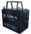 6GFM-75鉛酸蓄電池 1