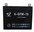 6GFM-75鉛酸蓄電池 2