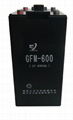 GFM-600鉛酸蓄電池 2