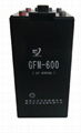 GFM-600铅酸蓄电池 2